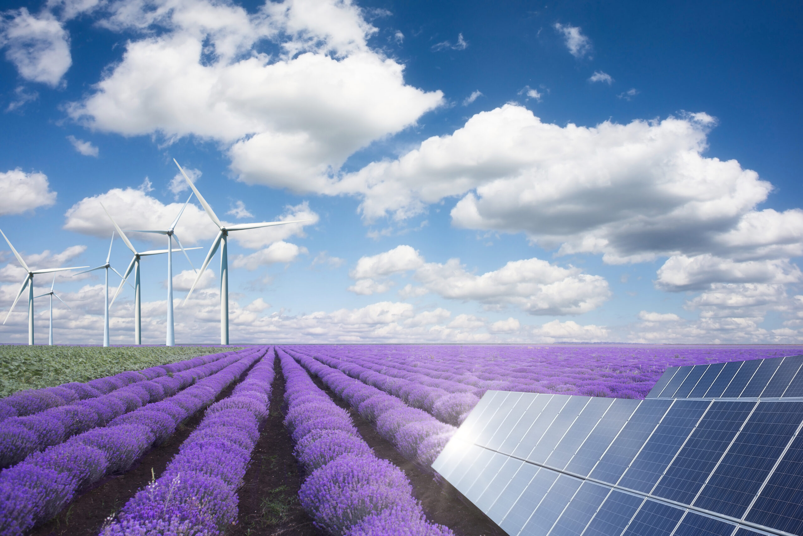 Windenergieanlagen auf einer landwirtschaftlichen Fläche